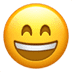 :smile: :smile: