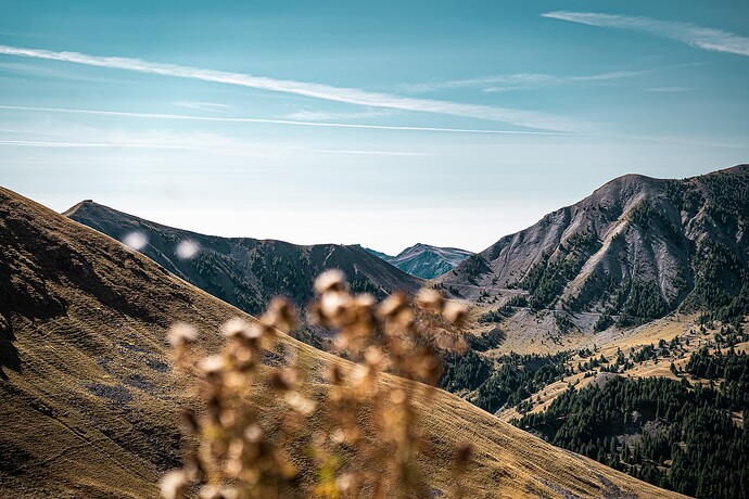 westalpen aug25 (120)