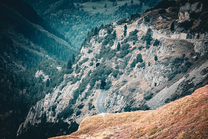 alpine fall susten grimsel oct25 (11)