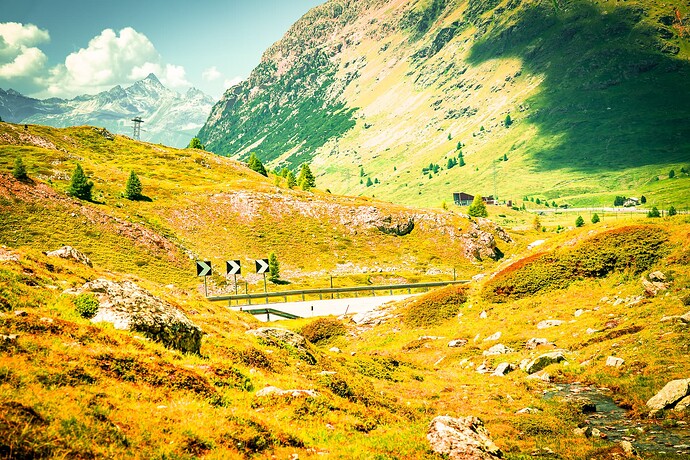 Engadin Ämma Sommer25 (21)