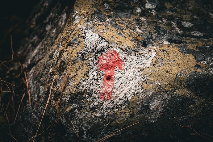alpine fall susten grimsel oct25 (12)