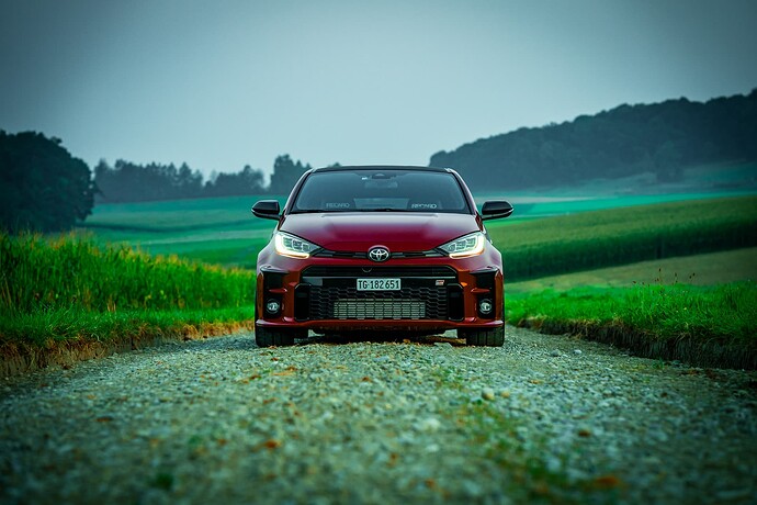 GR Yaris Mauslochrunde  (10)