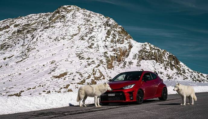 gr wolf