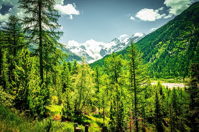 Engadin Ämma Sommer25 (5)